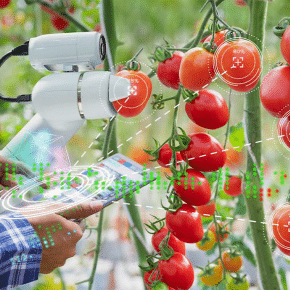 10G Agriculture