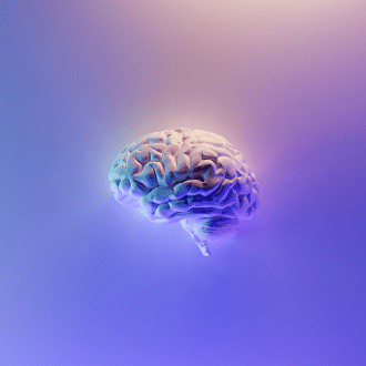 Brain