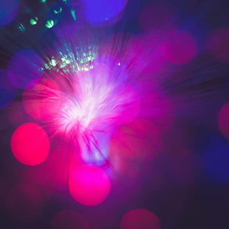 Fiber