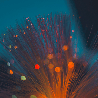 Fiber