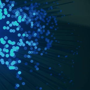 Fiber