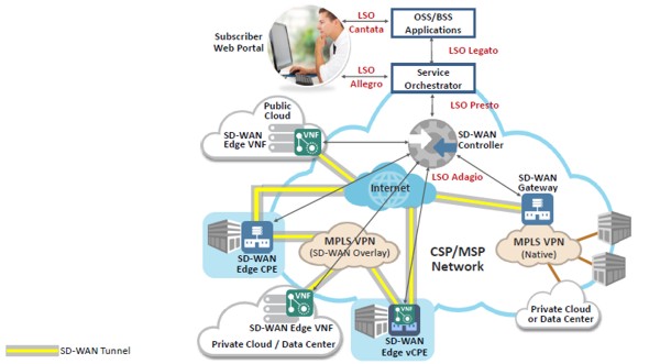 MEF SD-WAN open APIs