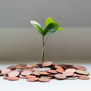 Money Tree