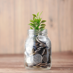 Money Tree