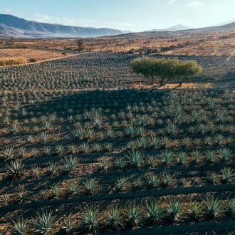NM Fiber Network New Mexico