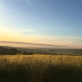 Rural Broadband