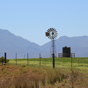Rural Broadband