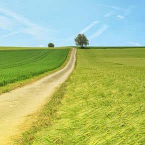 Rural Provider Edge