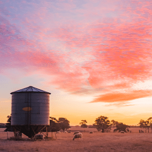 Rural Broadband