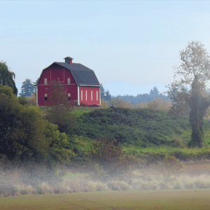 Rural Oregon