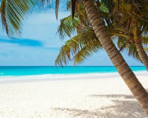 FCC Connect USVI picture