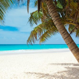 FCC Connect USVI picture