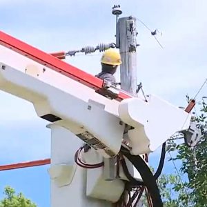 Vexus installs fiber