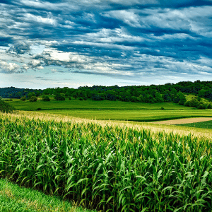 Wisconsin