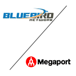 Image for Bluebird, Megaport Partner on Cloud Access