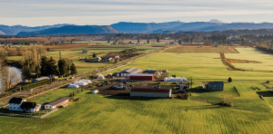 farm with iot application