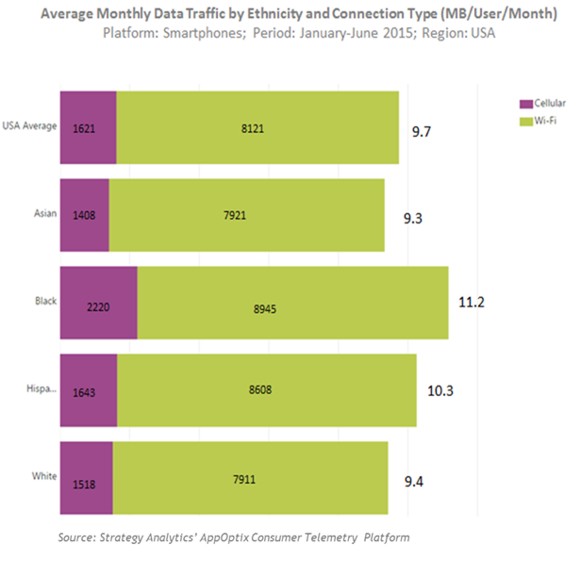 monthly wireless data usage