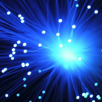 network of fiber