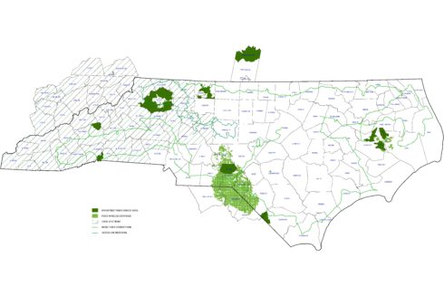riverstreet networks