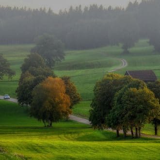 Rural nature