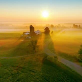 Rural, Silos and trees
