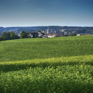 rural landscape image