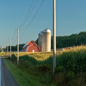 rural scene