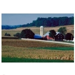 rural