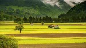 Rural Community