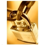 Image for Network Security: More About Opportunity Than Cost?