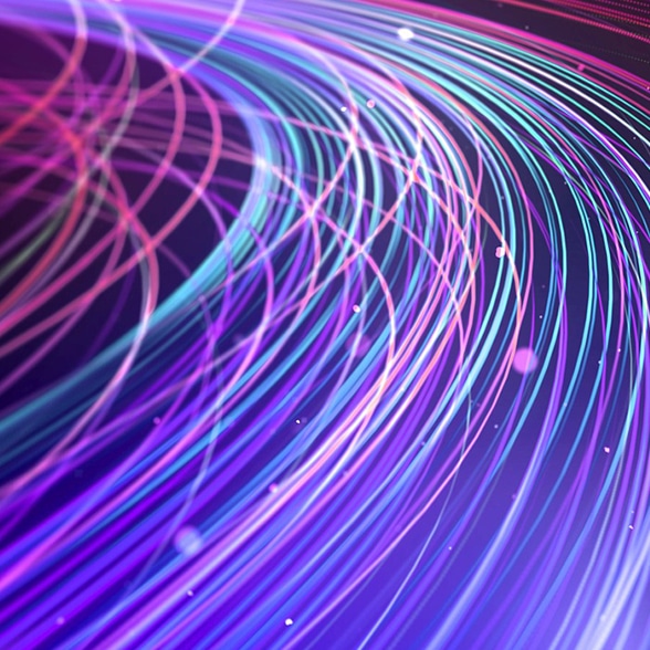 Fiber