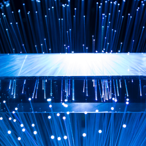 Fiber