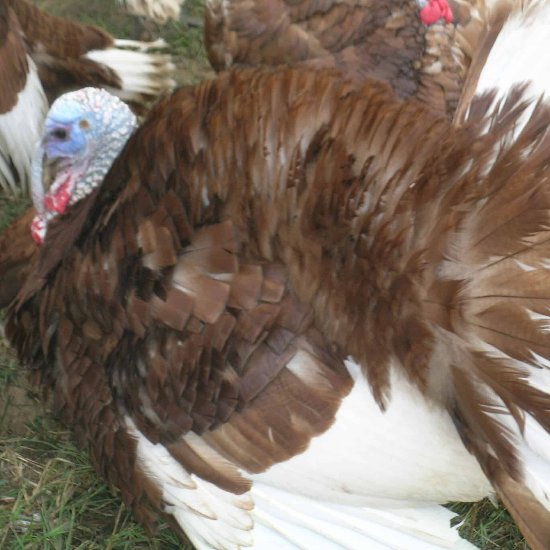 Massachusetts grants $4.5M to 61 communities to battle digital divide