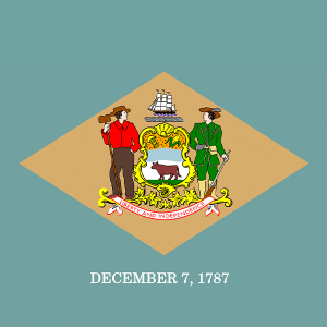 Delaware State Flag