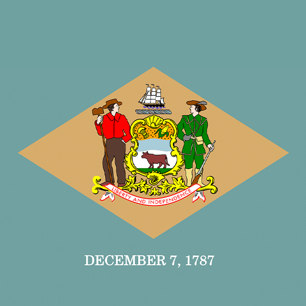 Delaware State Flag