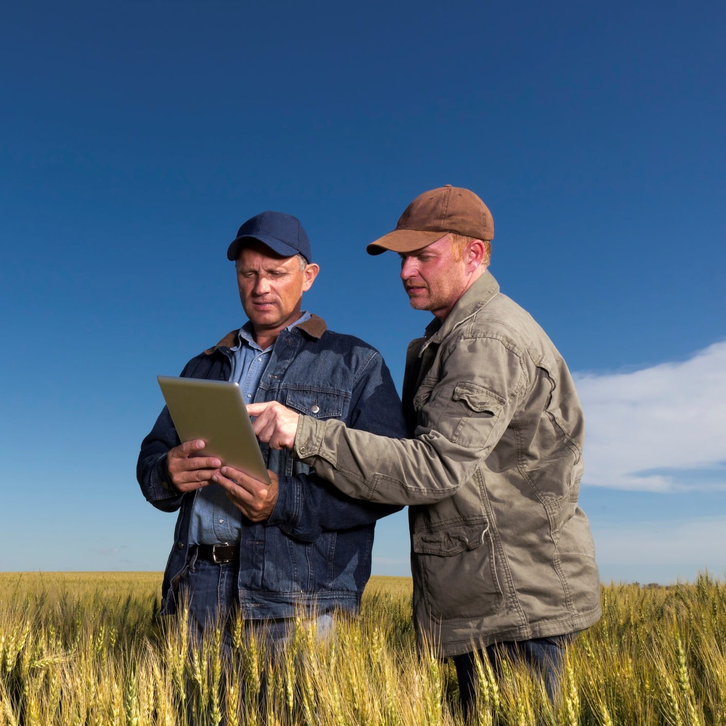 Farmers in rural area on laptop