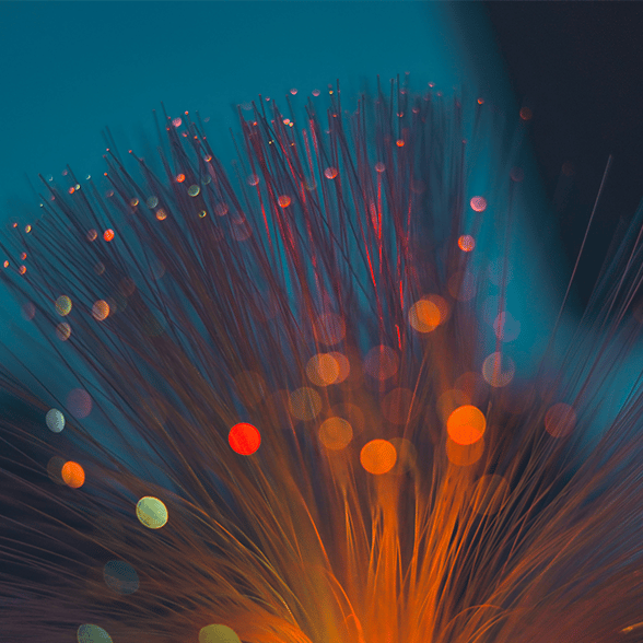 Fiber