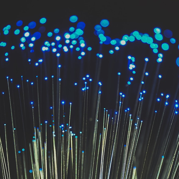 Fiber