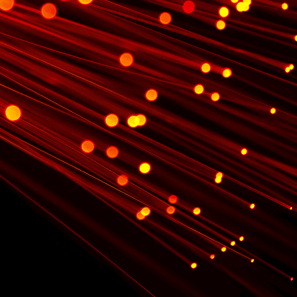 Fiber