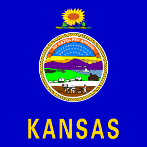 Kansas Flag