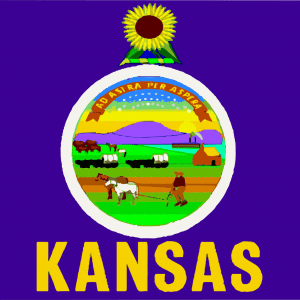 Kansas State Flag
