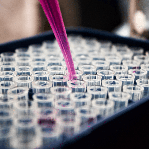 Lab