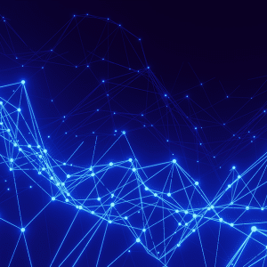 Network