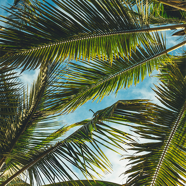 Cox, Comcast, Charter Poised to Take Home $77M for Florida Broadband, Other Winners…