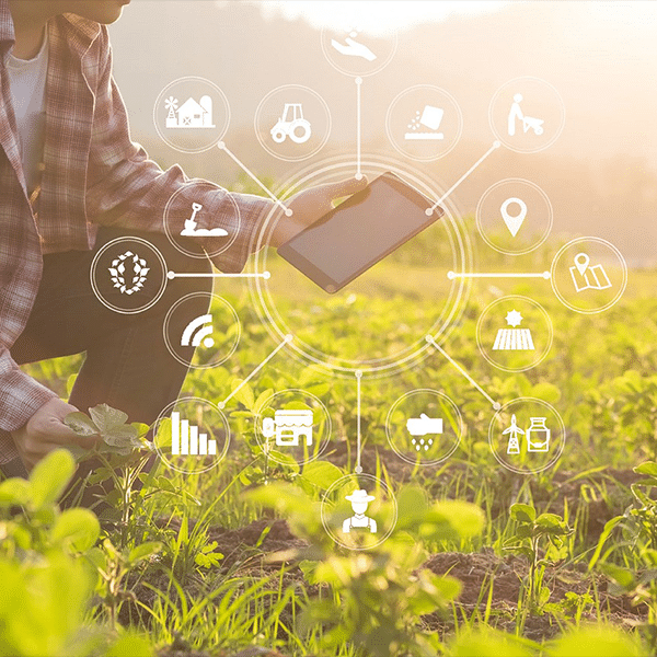 Precision Agriculture Bill Would Promote Broadband on Farmland