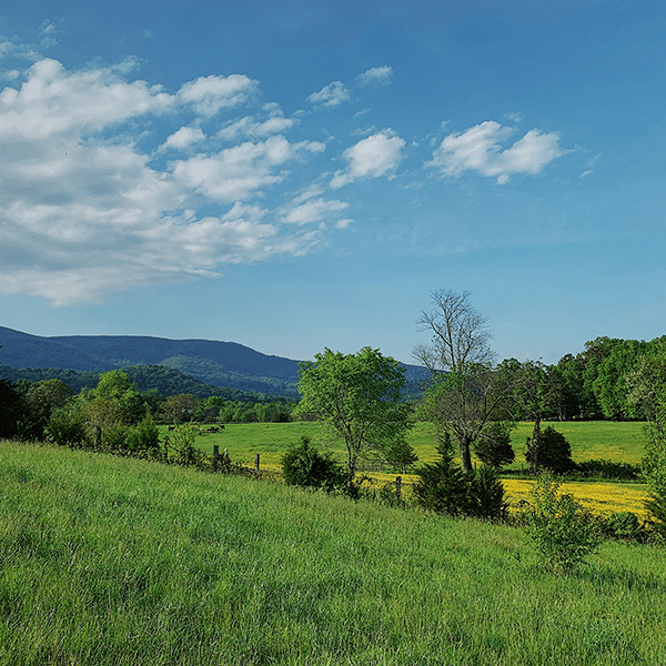FCC Rejects Suggested Changes to Enhanced A-CAM Rural Broadband Program