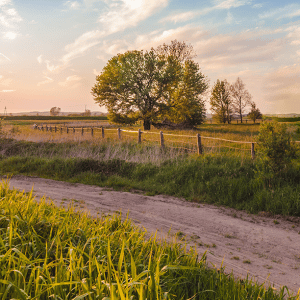 Rural
