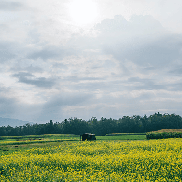 Rural Areas