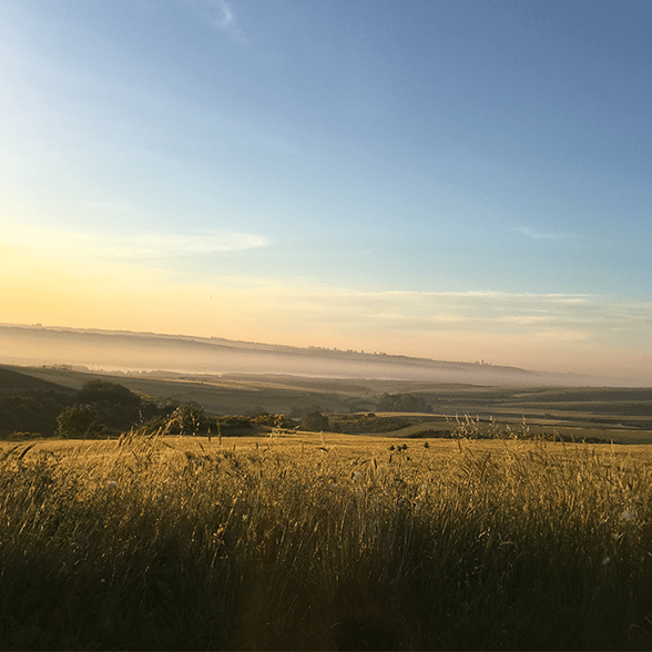 Small Providers, More Fiber Help Rural Economies: Study
