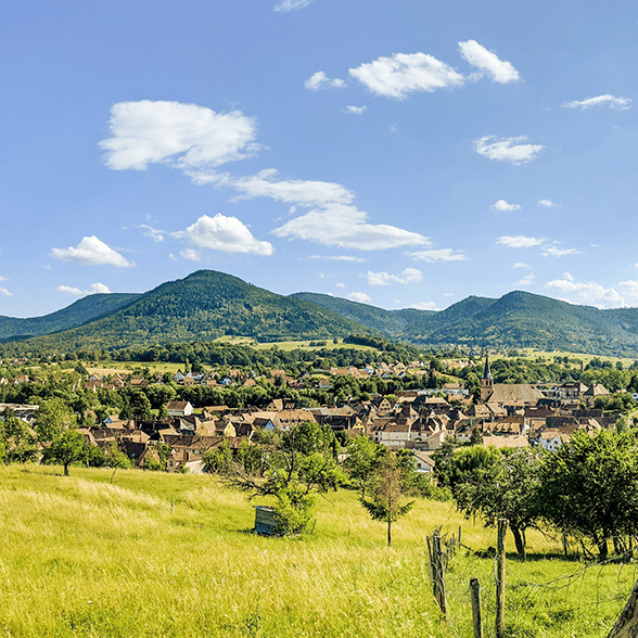 Washington Takes Applications for $15.8M for Rural Broadband